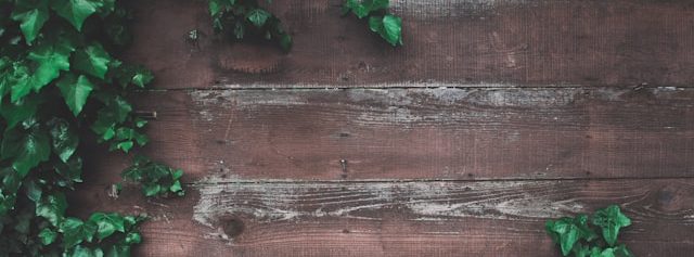 美颜特工·零号