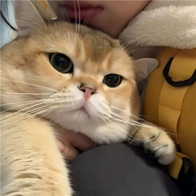 情侣头像可爱一人一张 520值得一用的情头大全