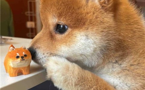 情侣头像 动漫情头可爱一人一半 火爆又有爱的情头大全