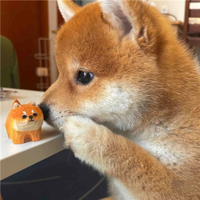 情侣头像 动漫情头可爱一人一半 火爆又有爱的情头大全