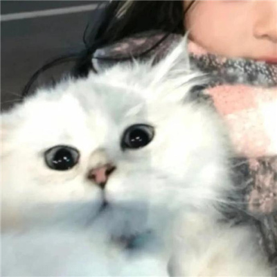 超甜的幸福情侣头像真人 甜蜜容易让人羡慕的情头