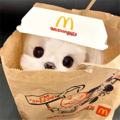 情侣头像可爱呆萌一对😆情侣头像动漫一男一女