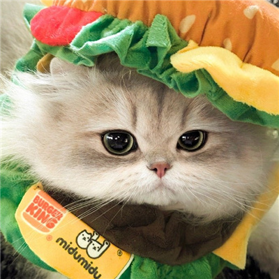 情侣头像可爱呆萌一对😆情侣头像动漫一男一女