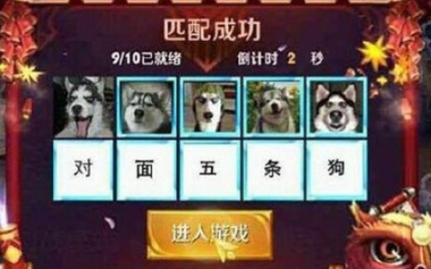 王者荣耀开黑对面五条狗头像组图🐶 武林外传头像和对面五只狗头像合集
