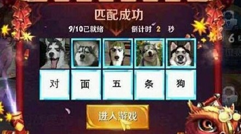 王者荣耀开黑对面五条狗头像组图🐶 武林外传头像和对面五只狗头像合集