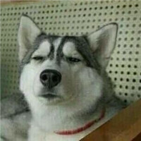 王者荣耀开黑对面五条狗头像组图🐶 武林外传头像和对面五只狗头像合集