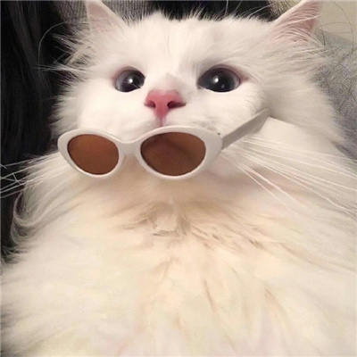 ins风稀少高级情侣头像💎一眼就爱的ins风高级情侣头像