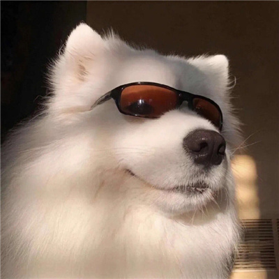 ins风稀少高级情侣头像💎一眼就爱的ins风高级情侣头像