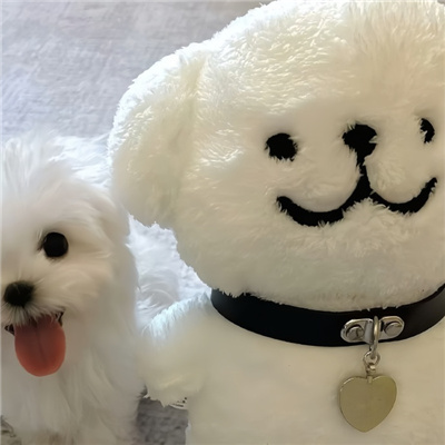 啾咪啾咪宝藏微信好可爱的情头🐾微信超可爱小动物搞怪头像图片