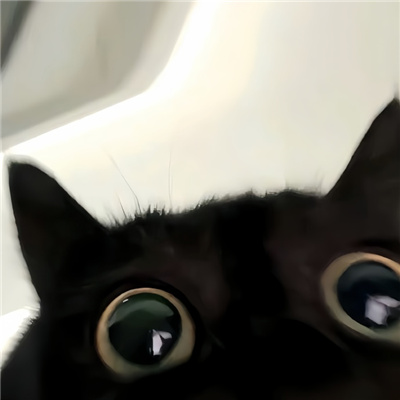 啾咪啾咪宝藏微信好可爱的情头🐾微信超可爱小动物搞怪头像图片