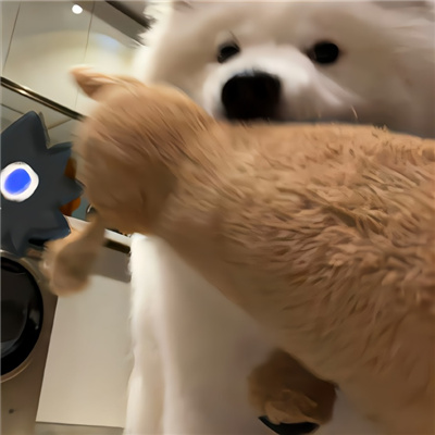 啾咪啾咪宝藏微信好可爱的情头🐾微信超可爱小动物搞怪头像图片