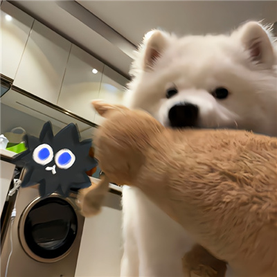 啾咪啾咪宝藏微信好可爱的情头🐾微信超可爱小动物搞怪头像图片