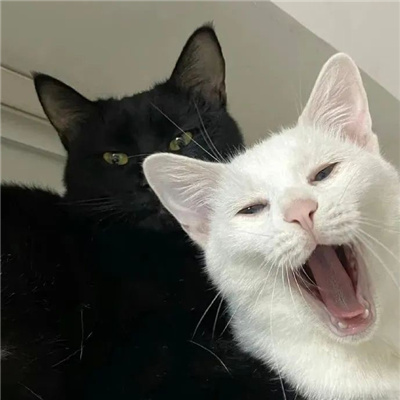 搞怪系列的情侣头像一对😜搞怪情侣头像一左一右