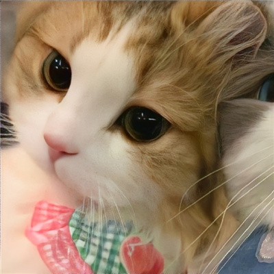 高级情侣图片一人一张🔮情侣图片2025最新款