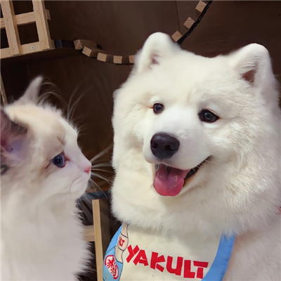 高级情侣图片一人一张🔮情侣图片2025最新款