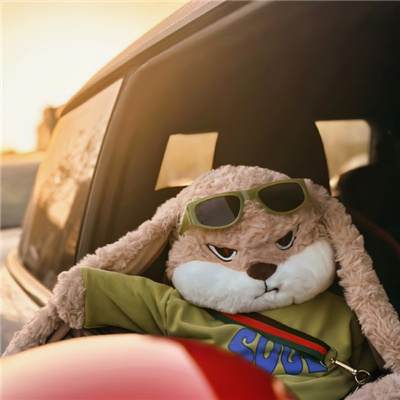 高级情侣图片一人一张🔮情侣图片2025最新款