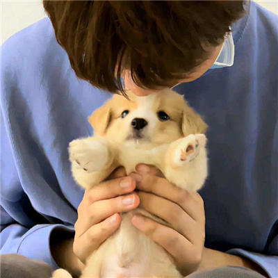 好看的不易撞双人情侣头像✨超好看的情侣头像图片推荐