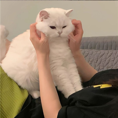 好看的不易撞双人情侣头像✨超好看的情侣头像图片推荐