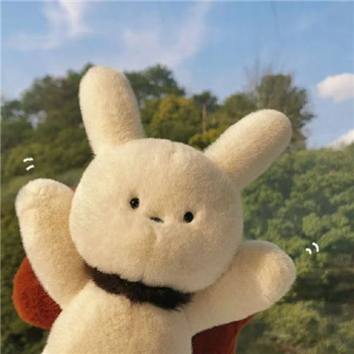 小众却惊艳的情侣头像🖤高级感不俗气的情侣头像