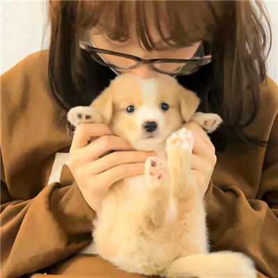 小众却惊艳的情侣头像🖤高级感不俗气的情侣头像