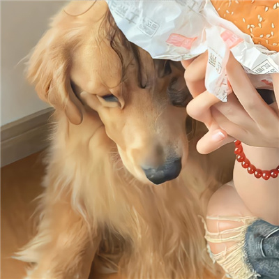 💕一人一半甜蜜情头👩❤️👨超甜的情侣头像一人一半