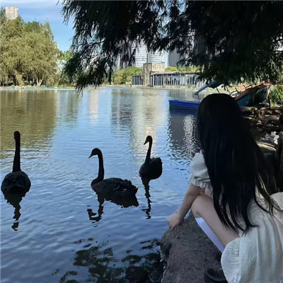 情头超好看别人都羡慕的情头🎇很罕见又很好看的情侣头像