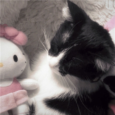 情侣头像动漫唯美🌸动漫情头一男一女可爱超甜