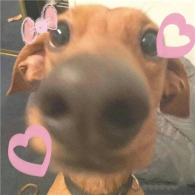 💑微信头像男女情侣头像🌌微信情侣头像两人头像一男一女浪漫唯美