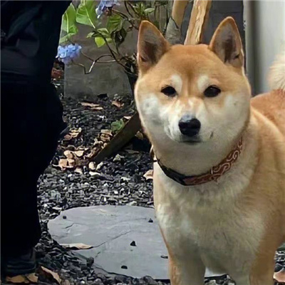 💑微信头像男女情侣头像🌌微信情侣头像两人头像一男一女浪漫唯美