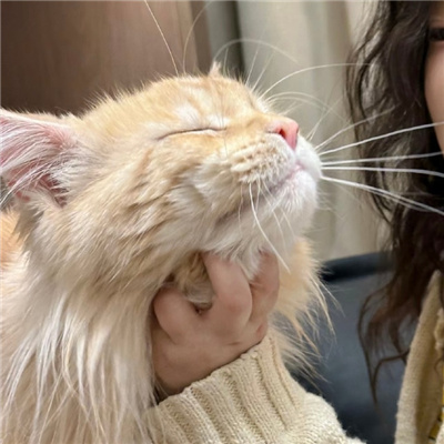 超甜的情侣头像一人一半🍬情侣头像超甜一人一张