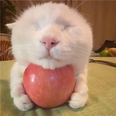 🐰情头可爱萌情侣头像💞萌系情侣头像一左一右推荐