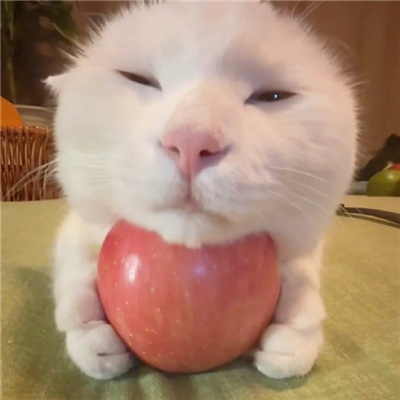 🐰情头可爱萌情侣头像💞萌系情侣头像一左一右推荐