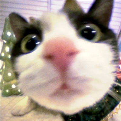 情侣头像图片2025最火爆🚀2025独一无二情侣头像图片一人一半