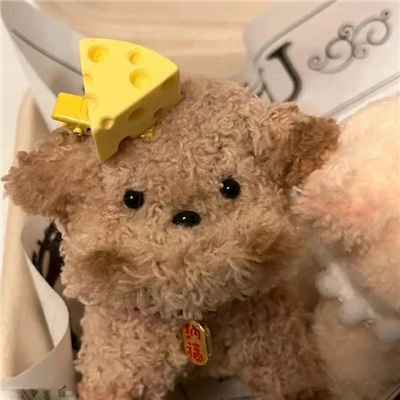 青春可爱的情侣头像图片🎒情侣头像双人青春校园系列