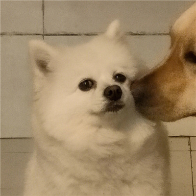 情头可爱萌情侣头像🍡超萌Q版一人一半情头