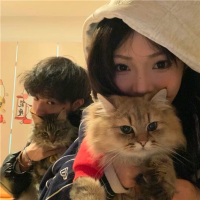 双人情侣头像ins高级质感🌟独一无二的情侣头像一对