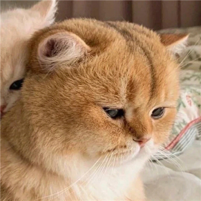 👁️好看又隐蔽的情侣头像动漫🎭卡通人物一男一女可爱的情侣头像