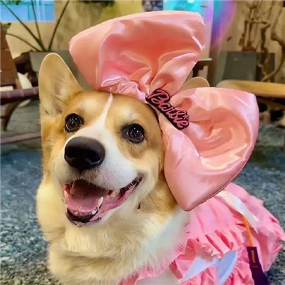 超萌卡通情侣头像🐾暧昧情侣头像男女各一张动漫