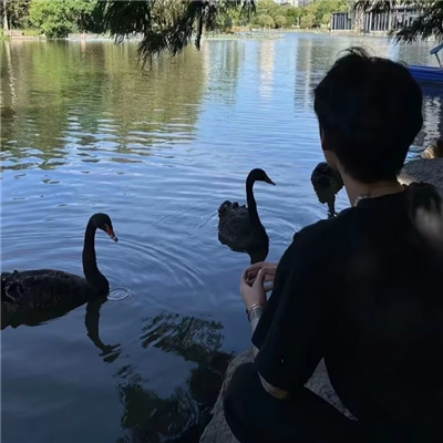 一看就知道有主了的情侣头像😊很甜很暖的情侣头像