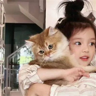 很甜很暖的情侣头像👩❤️👨情侣头像二人专用暧昧一对