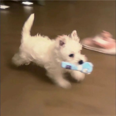 幸福可爱粉色系的情侣头像一对🌸柔光粉色调情侣头像一左一右
