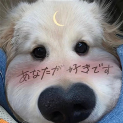 神仙又冷门的情头猫狗🐱🐶精选超有CP感的卡通情头