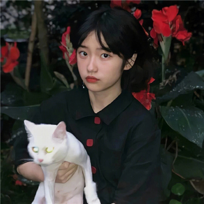 永不换的好看头像情侣💍精选适合两口子的微信情头