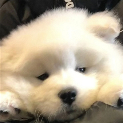 看起来就很舒服的情侣头像🌿精选长长久久的特别情头