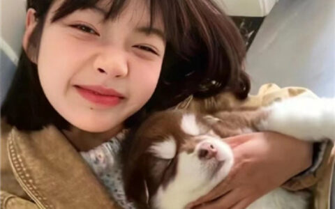 情侣恩爱甜蜜头像双人💞精选难舍难分的优质浪漫情头