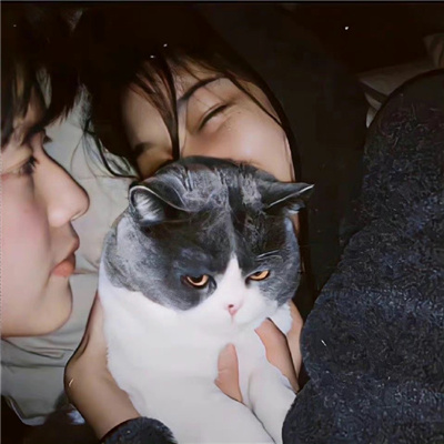 高级感不俗气的情侣头像🕊️精选成熟高级质感的情头