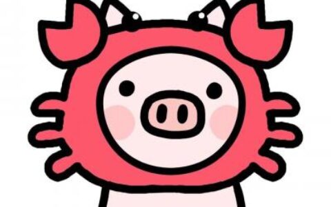 小猪情侣头像一左一右🐷精选呆萌卡通猪猪情头