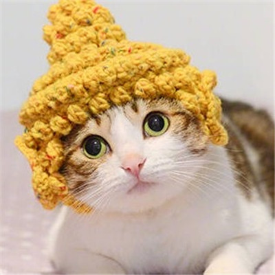 猫咪情侣头像一左一右🐾两只猫咪情侣头像一对