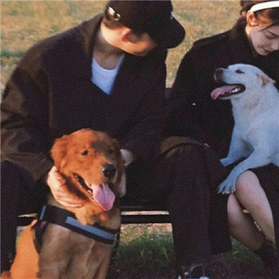 情头夕阳落日一男一女🌇精选超暖心的有爱情头