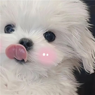 一组巨好看的情侣头像🌟精选罕见必存微信情头